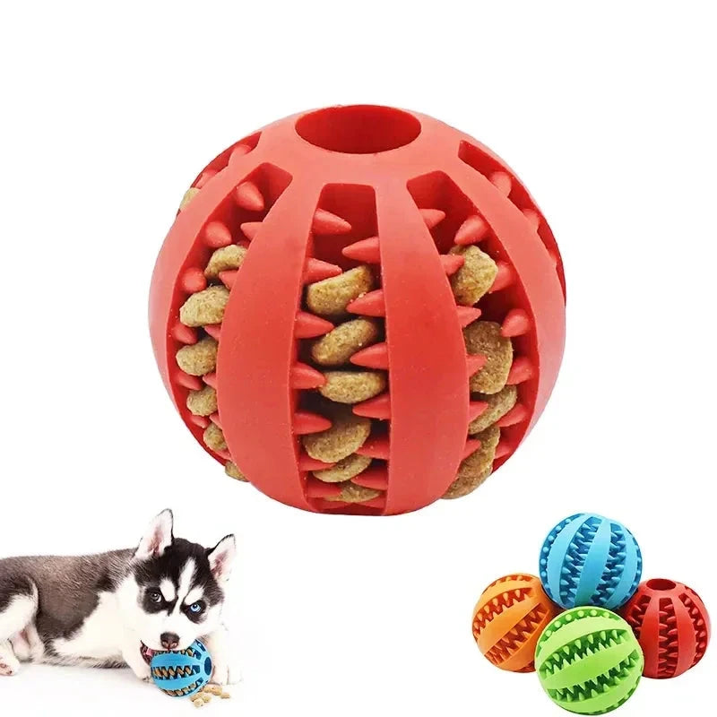 Dog Ball Toys