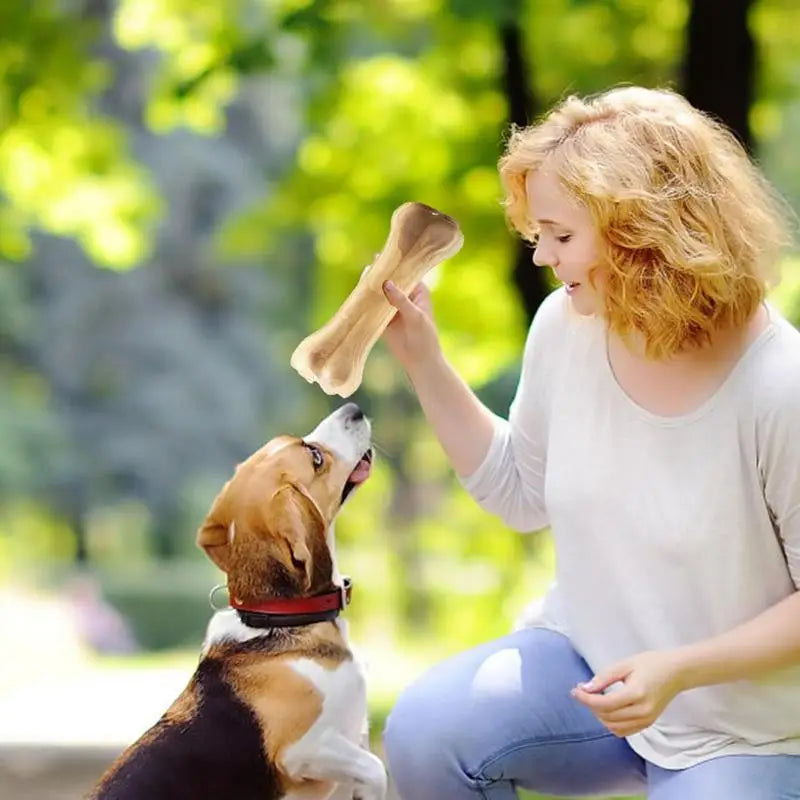 Beef-Flavored Dog Teething Bone