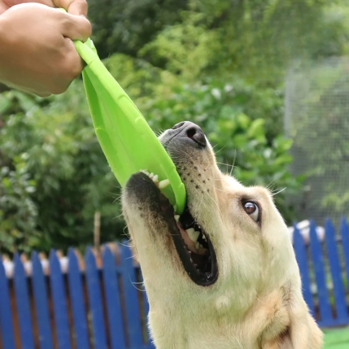 Bite-Resistant Flying Disc Toy