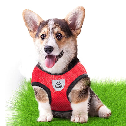 Adjustable Pet Harness Set