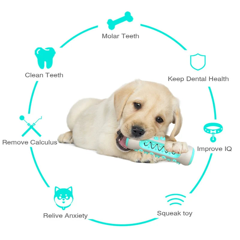 Dog Molar Toothbrush Toy