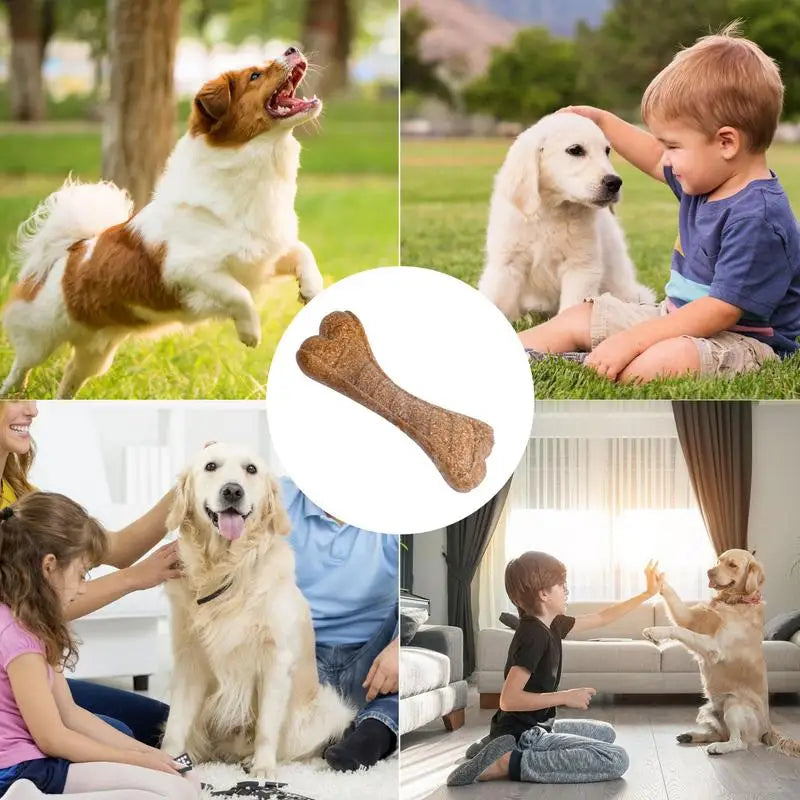 Hard Chew Bone Toy for Dogs