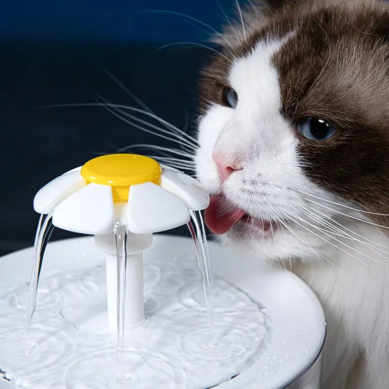 Circulating Cat Water Dispenser