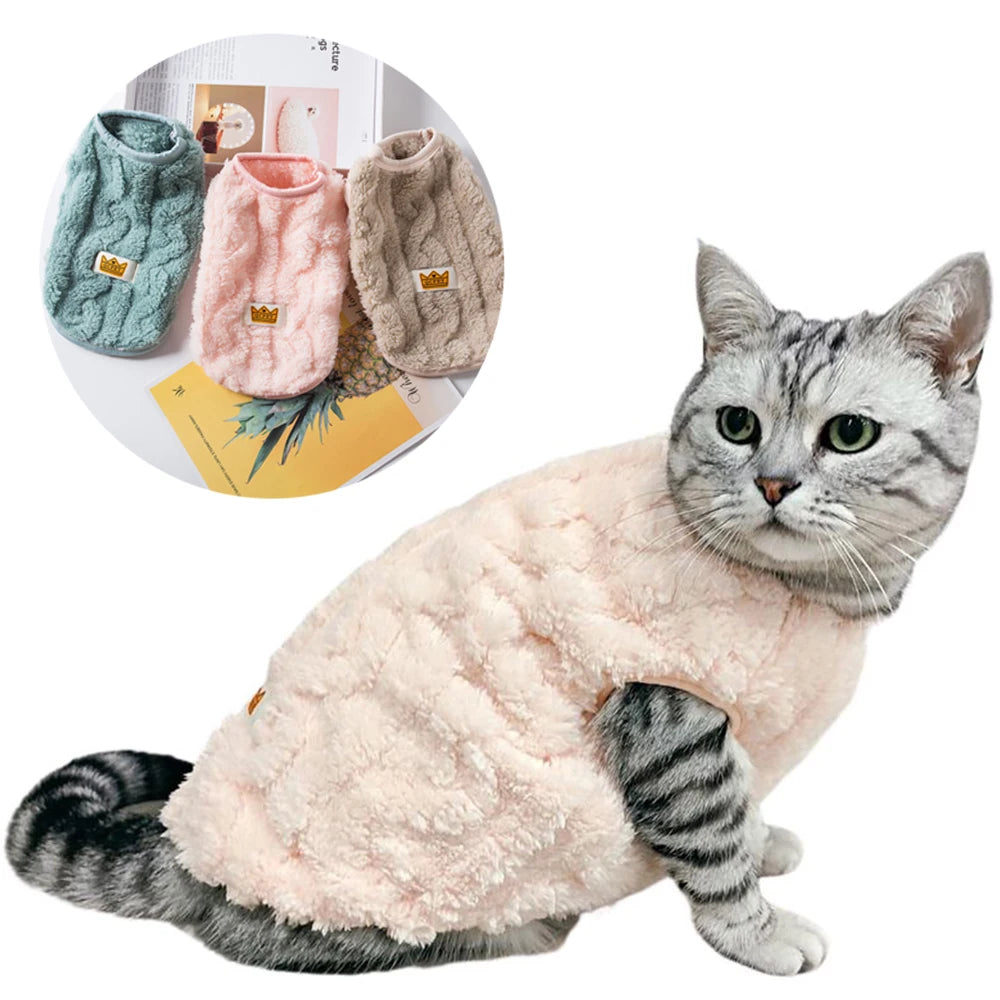 Winter Pet Sweater Outfit