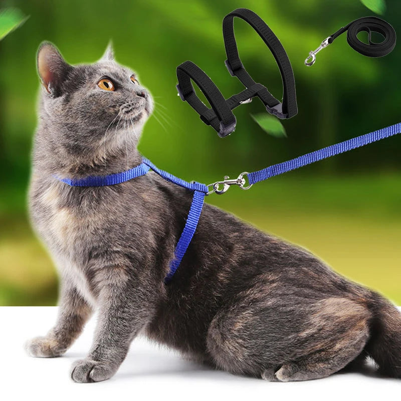 Affordable Cat Harness Kit