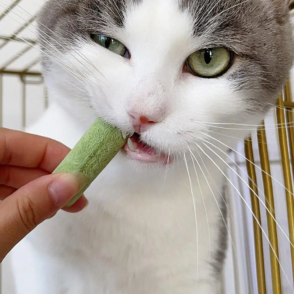 High-End Cat Grass Stick