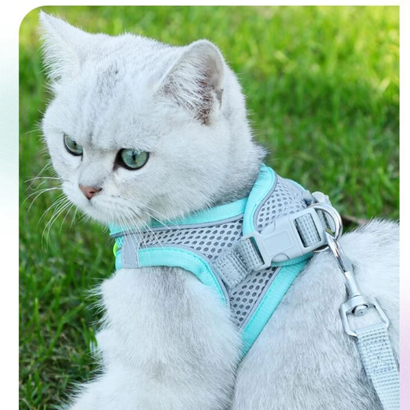 Escape-Proof Cat Harness Set