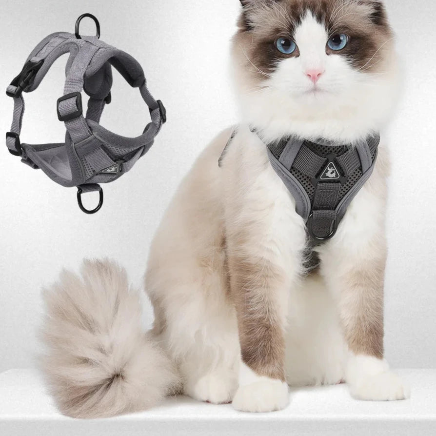 Adjustable Cat Harness