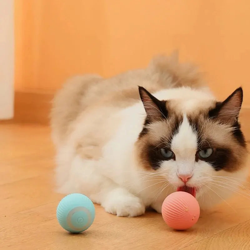 Intelligent Rolling Cat Ball