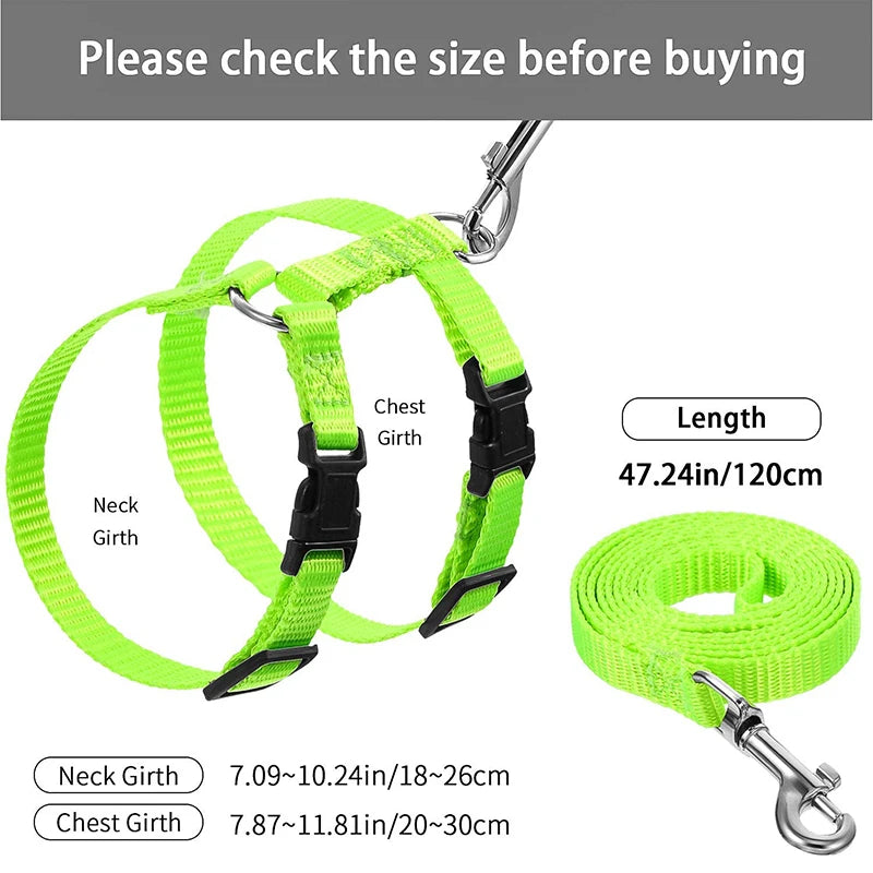 Affordable Cat Harness Kit