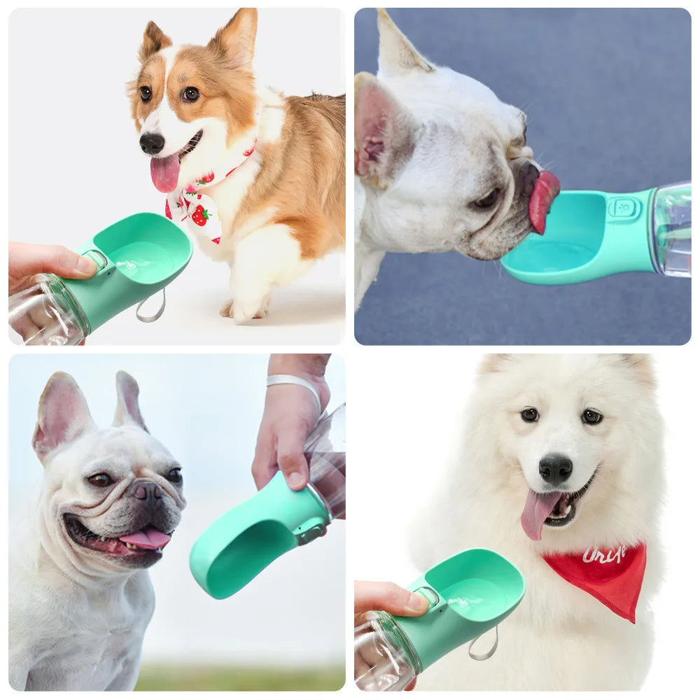 Dog Water Bottle and Food Container