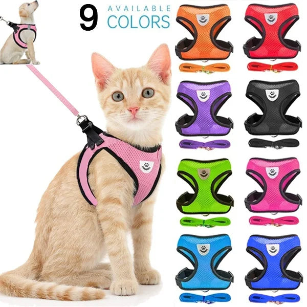 Adjustable Pet Harness Set