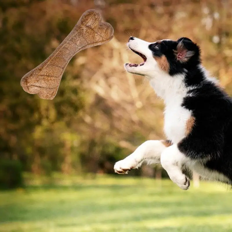 Hard Chew Bone Toy for Dogs