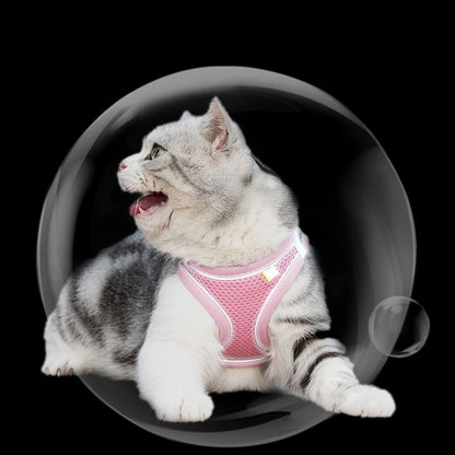 Escape-Proof Cat Harness Set