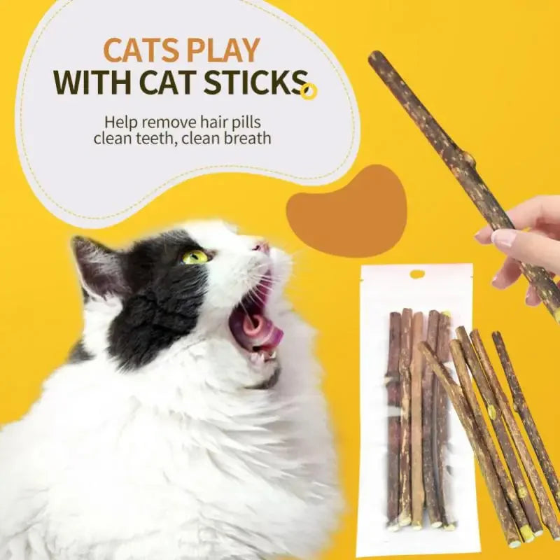 Natural Matatabi Cat Treats